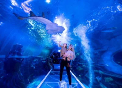 National Sea Life Centre Entrance Ticket